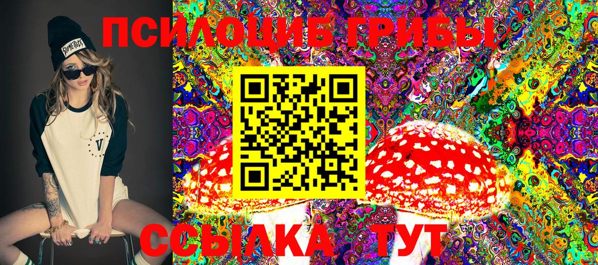 Галлюциногенные грибы MAGIC MUSHROOMS Бийск