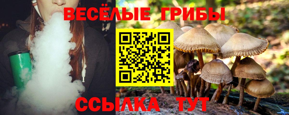 Бийск  Псилоцибиновые грибы Psilocybine cubensis  Галлюциногенные грибы MAGIC MUSHROOMS  Вход с VPN 